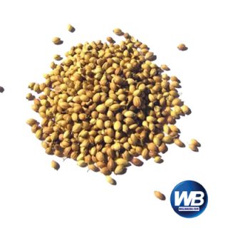 Dhonia (Coriander) 100 gm