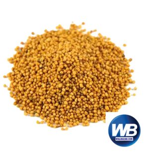 Mustard Seed (Yellow) 100 gm