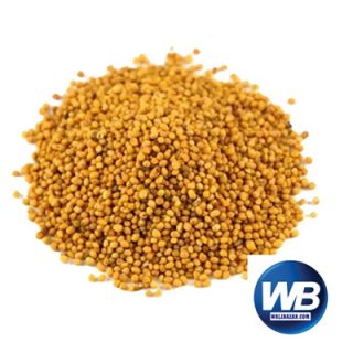 Mustard Seed (Yellow) 500 gm