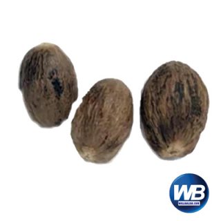 Nutmeg (Jayfal Whole) 1 pcs