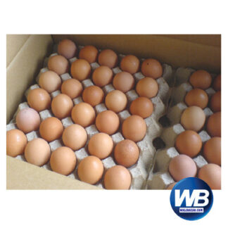 Chicken Eggs (Layer) 30 pcs 1016301