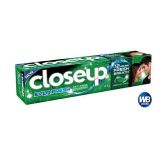 Close Up Menthol Fresh Toothpaste 145 GM