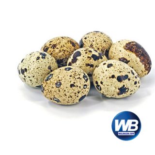 Koel Eggs 12 pcs