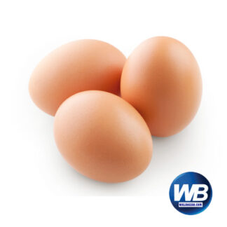 Chicken Eggs (Layer) 4 pcs