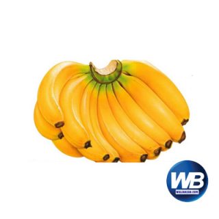 Banana Sagor (Kola) 12 pcs