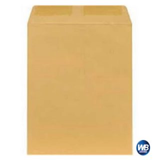 Brown Big Envelope (12.5X16.5)