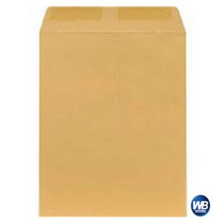 Brown Big Envelope (13X16.5)