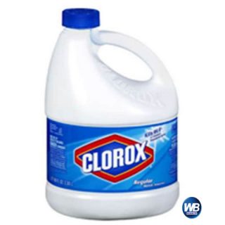 Clorox Regular