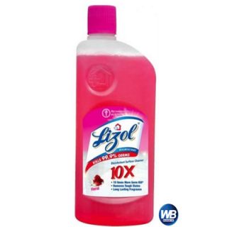 Lizol Floral Disinfectant Surface Cleaner 500 ml