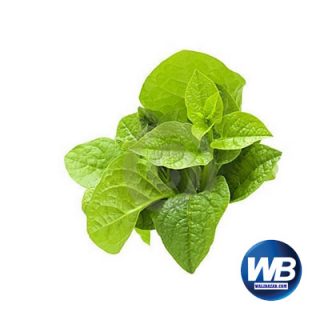 Pui Spinach (Pui Shak) 1 Bundle