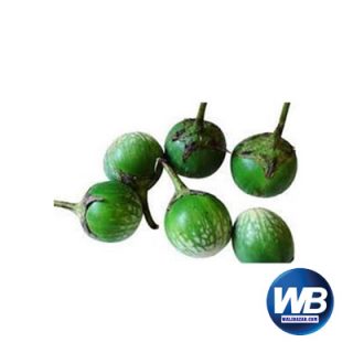 Round Brinjals Green (Begun) (Net Weight ± 50 gm) 500 gm