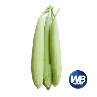 Sponge Gourd (Dhundul) 500 gm