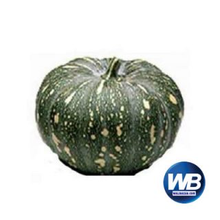 Sweet Pumpkin (Mishti Kumra) each