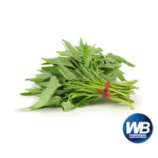 Water Spinach (Kalmi Shak) 1 Bundle