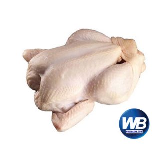 Whole Broiler Chicken Skin On (Net Weight ± 50 gm) 1.6 kg
