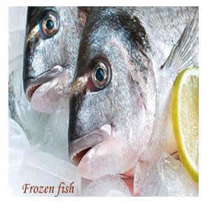 Fresh fish