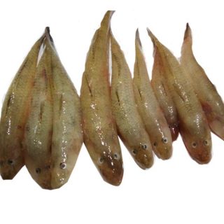 baila (bele) fish 500 gm