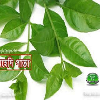 Fenugreek Leaves (Methi Patta) 1 ati