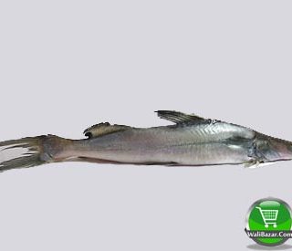 Ayre fish 500 gm