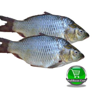 জলপাই বার্ব ফিশ (দেশি শোর পুটি) ১ কেজি