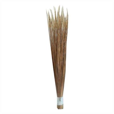 Big Broom Big (Sholarjaru)