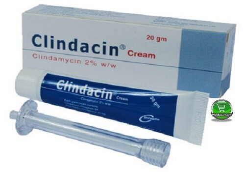 Clindacin 20gm