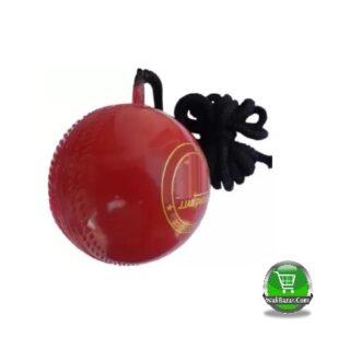 Plastic Cricket hanging ball