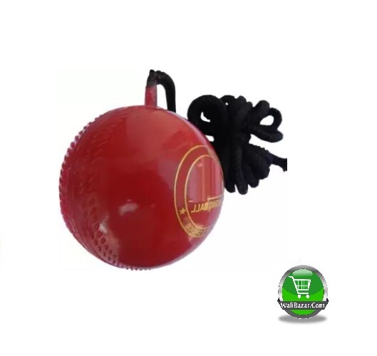 Plastic Cricket hanging ball
