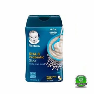 Garber DHA & probiotic Rice cereal For Supported Sitter Baby