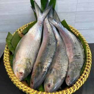 রুপালী ইলিশ
